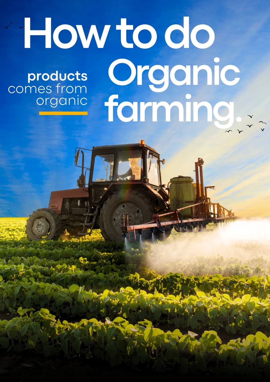 Learn about Organic Farming